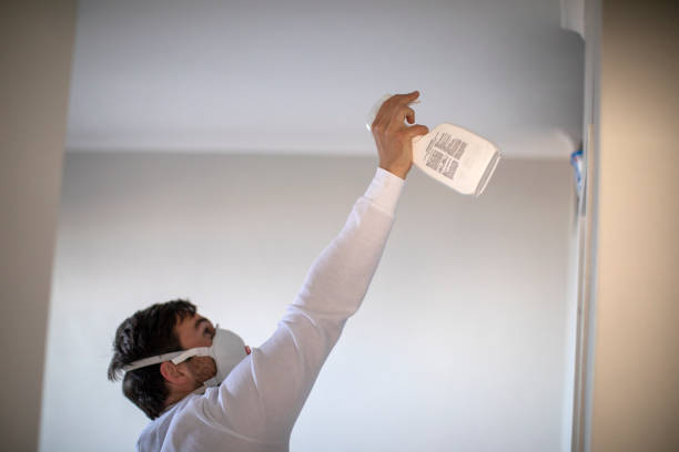 Best Localized Mold Remediation (e.g., coastal areas, humid climates) in Conley, GA